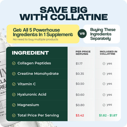 Vezzyl Collatine: Premium Collagen Peptides + Creatine with Vitamin C, Hyaluronic Acid & Magnesium