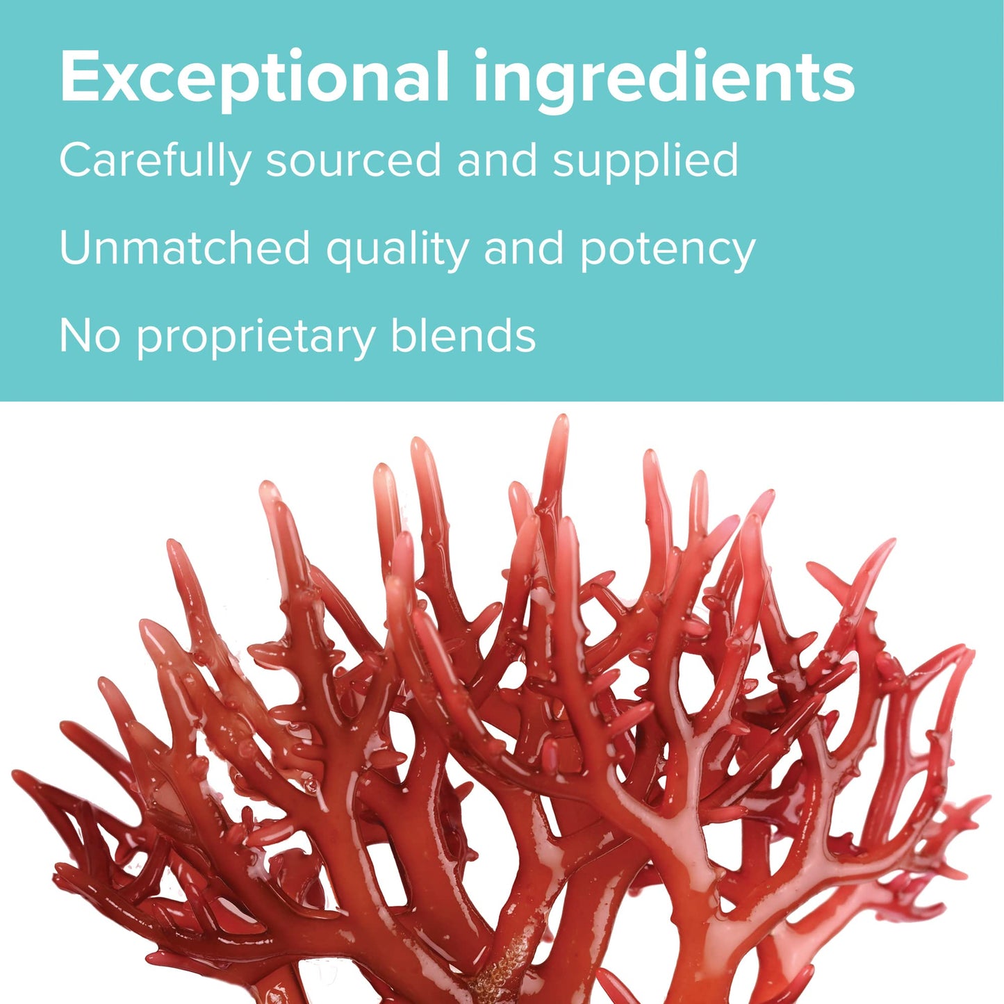 Vibrant Health: Gigartina Red Marine Algae – Plant-Based Immune Support, 60 Capsules (FFP)