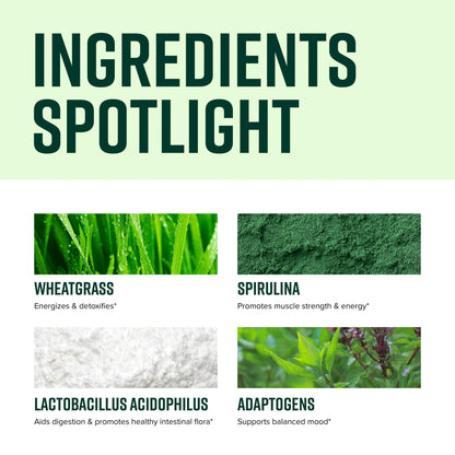Vibrant Health Green Vibrance | 65 Plant-Based Superfoods, 25 Billion Probiotics, 83 Servings