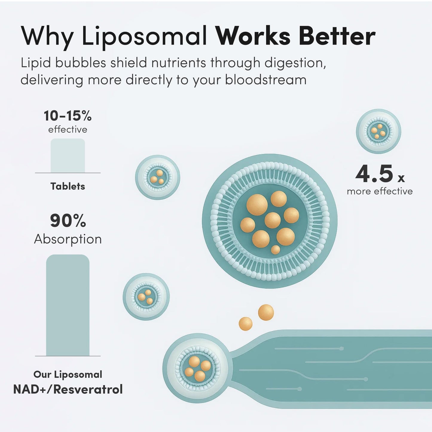 Vida Lifescience Liposomal NAD+ Liquid with Resveratrol – 32 Servings – Vegan, Gluten-Free, Non-GMO