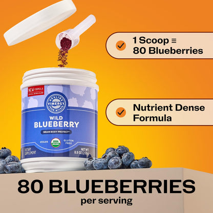Vimergy Brain Body Protect – Wild Blueberry Powder with Horsetail & Bamboo Silica (250g, Organic, Vegan)
