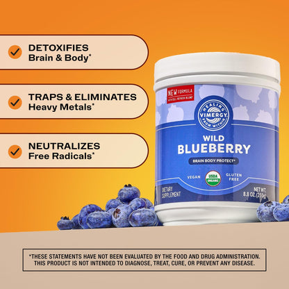 Vimergy Brain Body Protect – Wild Blueberry Powder with Horsetail & Bamboo Silica (250g, Organic, Vegan)