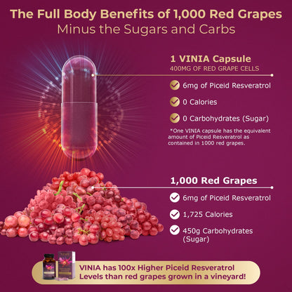 VINIA Piceid Resveratrol Supplement – Blood Flow & Heart Health (Non-GMO, 30 Count)