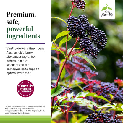 Terry Naturally ViraPro Immune Support – Herbal Blend with Elderberry, Zinc & Selenium (60 Tablets)