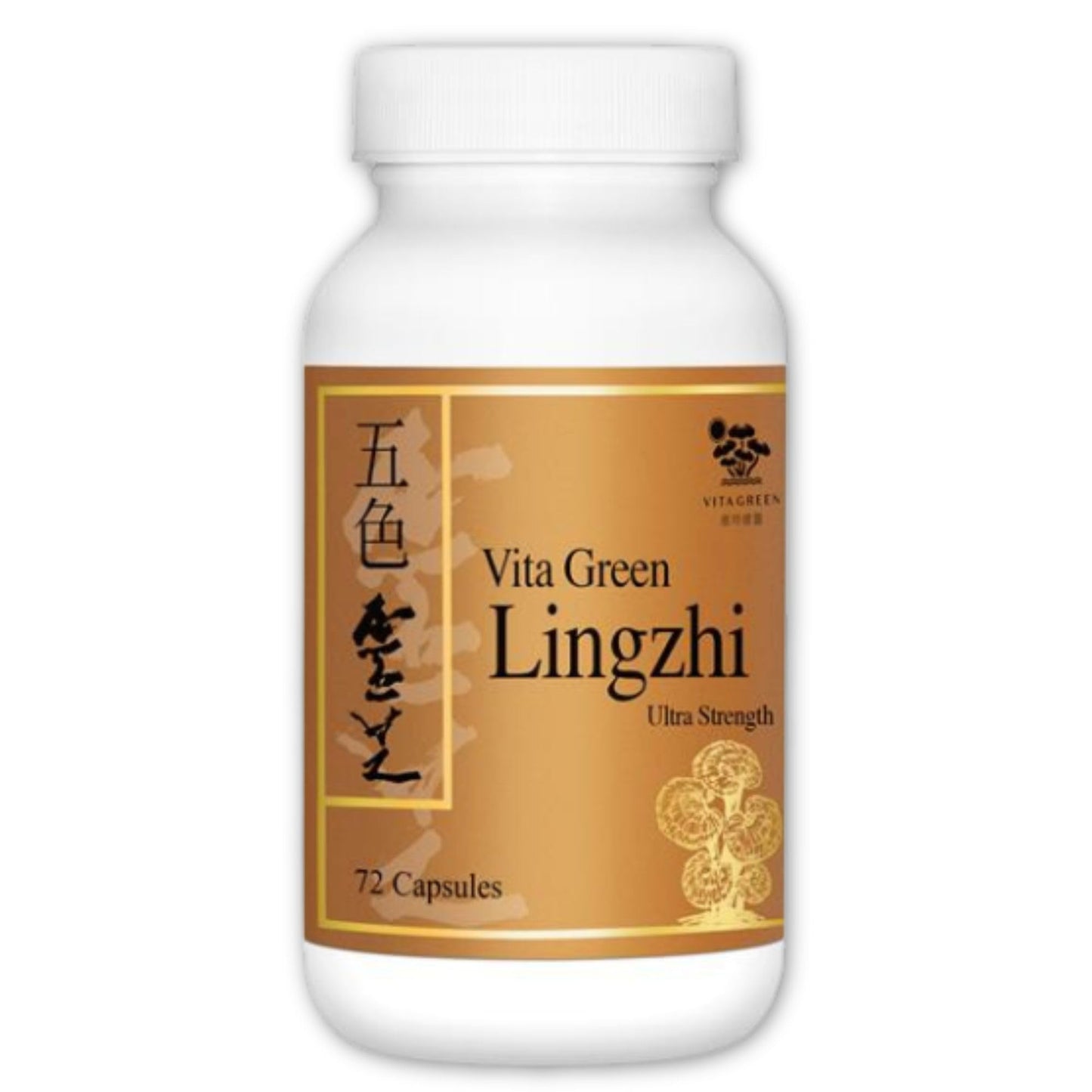 Vita Green Lingzhi Mushroom Capsules – Pure Reishi with Natural Antioxidants for Wellness, Energy & Immune Support – 72 Capsules