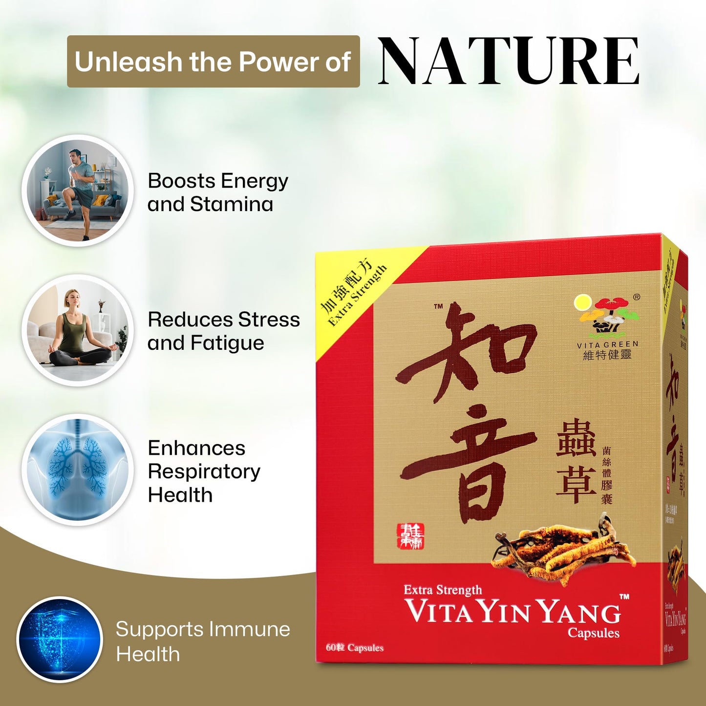 Vita Green Yin Yang Cordyceps Mycelium – Respiratory Wellness & Energy (60 Capsules)