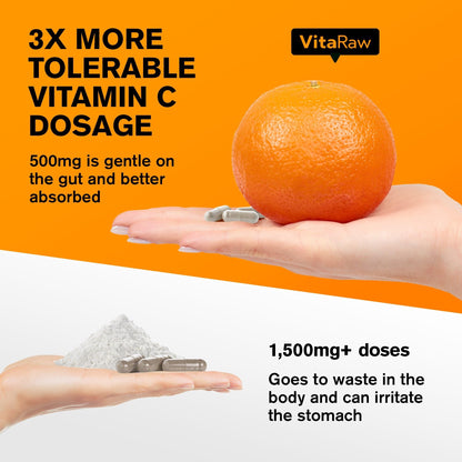 VitaRaw Immune Support Vitamins – Elderberry, Zinc, Vitamin C & Garlic for Adults