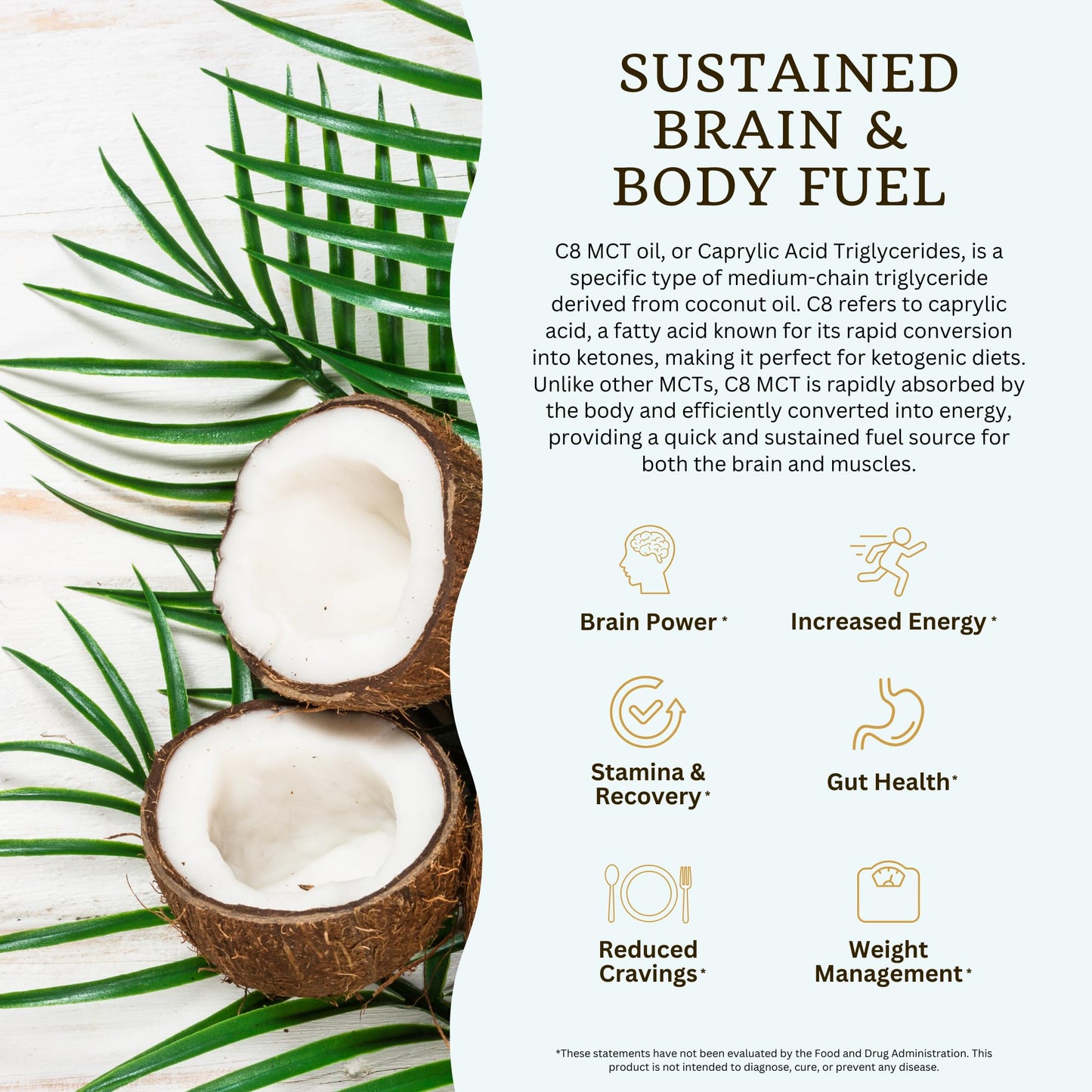 VTC VitaTradingCo. 100% Pure C8 MCT Oil | 128oz, 3X Distilled, Keto & Paleo