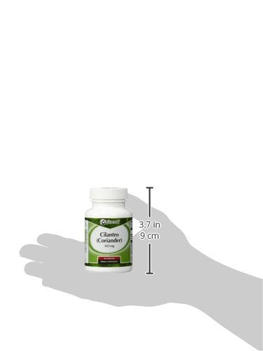 Vitacost Cilantro (Coriander) 425 mg – 60 Capsules | Herbal Supplement