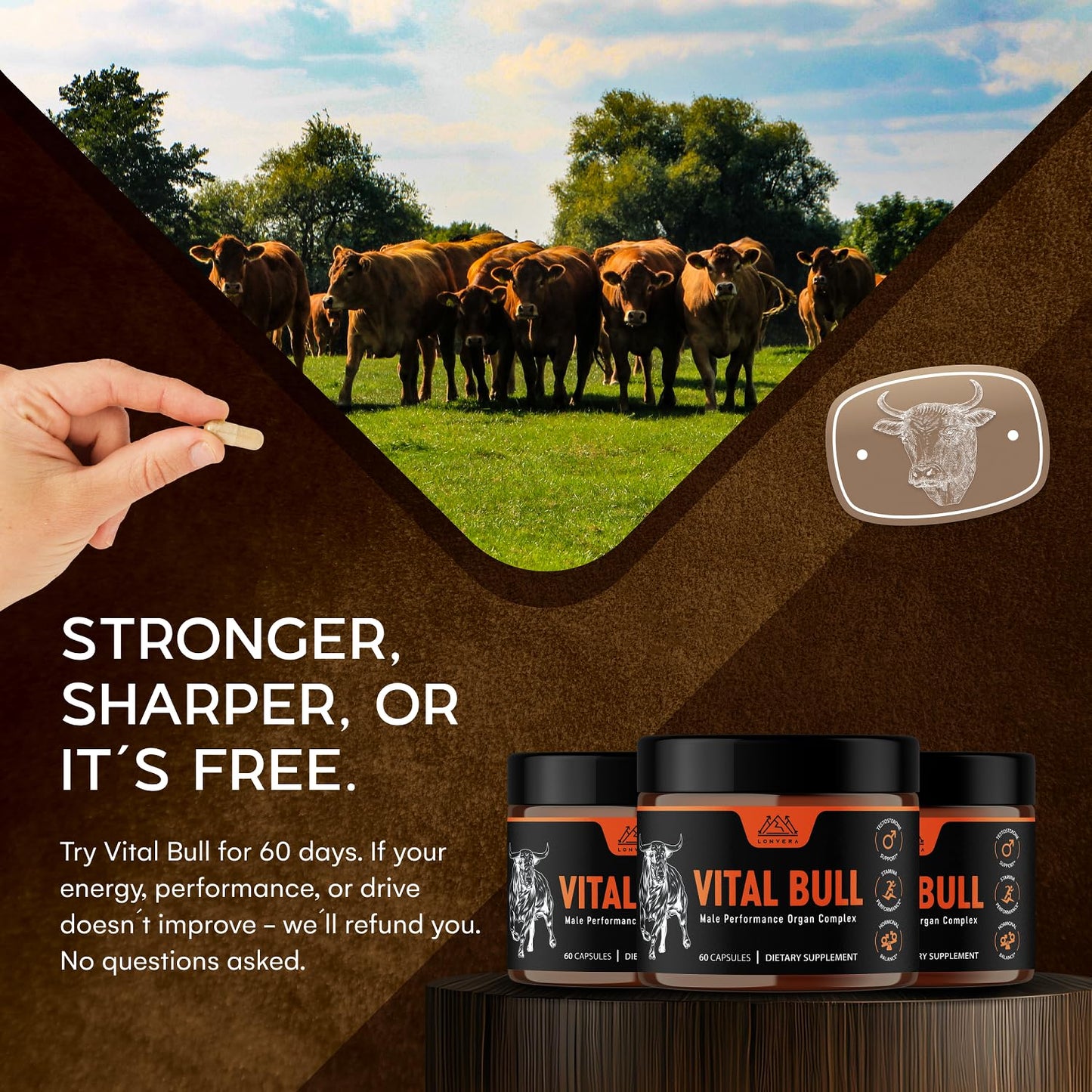 Lonvera Vital Bull Beef Organ Supplement for Men – Grass-Fed Liver, Testicle, Prostate & Bone Marrow | 30 Day Supply