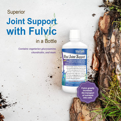 Vital Earth Liquid Joint Support – Glucosamine, Chondroitin, MSM, Hyaluronic Acid, Boswellia & Fulvic Minerals (32 oz + 1 oz Cup)