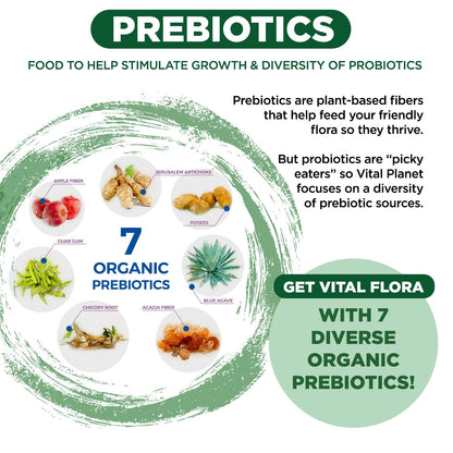 Vital Flora 60B CFU Probiotic for Adults 55+ | Vital Planet Shelf-Stable