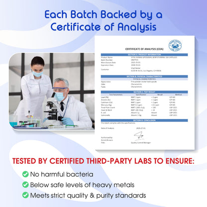 VITAL HERBAL Liposomal Benfotiamine with Alpha Lipoic Acid - Maximum Potency - Made in The USA