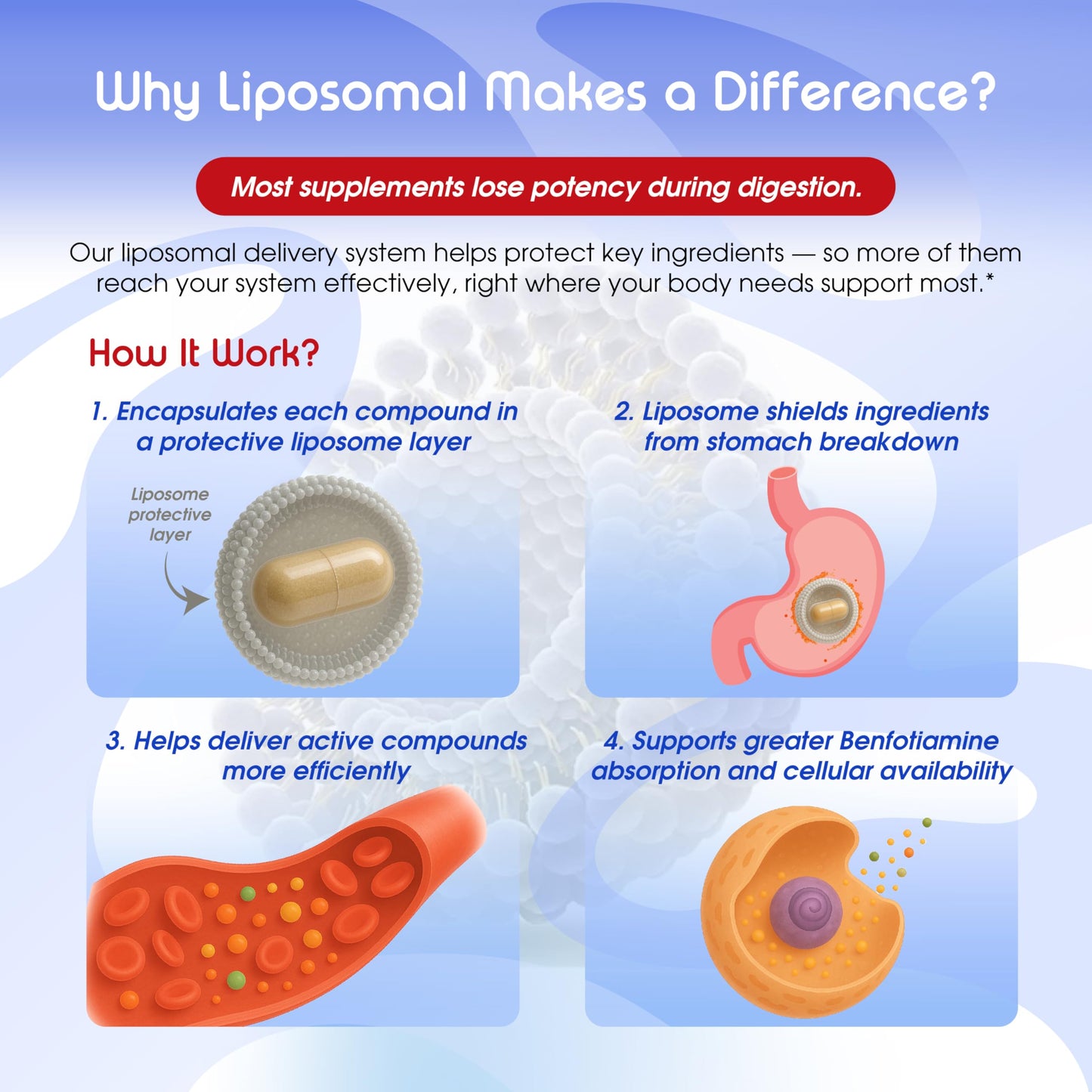 VITAL HERBAL Liposomal Benfotiamine with Alpha Lipoic Acid - Maximum Potency - Made in The USA