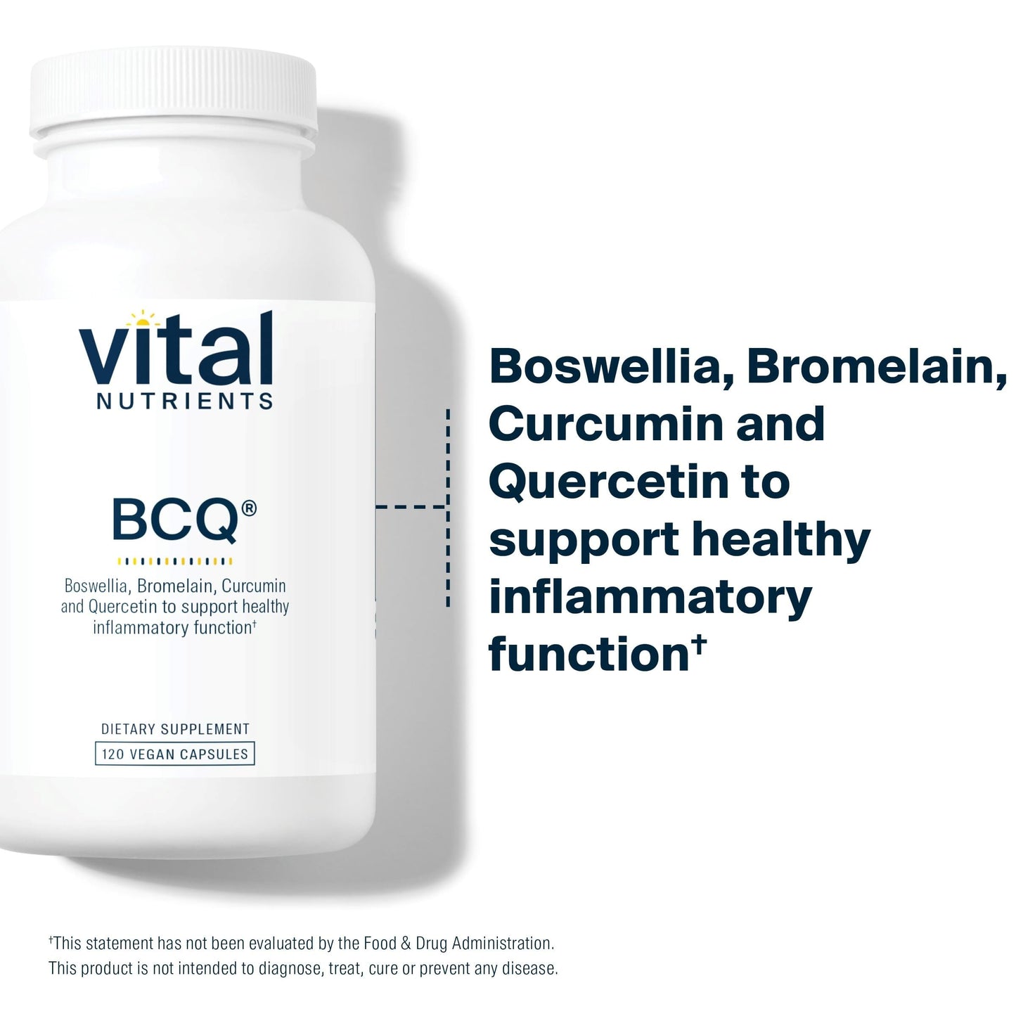 Vital Nutrients BCQ – Vegan Boswellia, Bromelain, Curcumin & Quercetin for Joint & Digestive Support | 120 Capsules