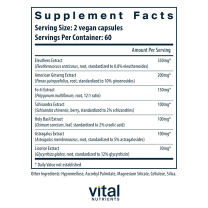 Vital Nutrients Energy Plus – Nonstimulatory Herbal Energy Support | 120 Capsules