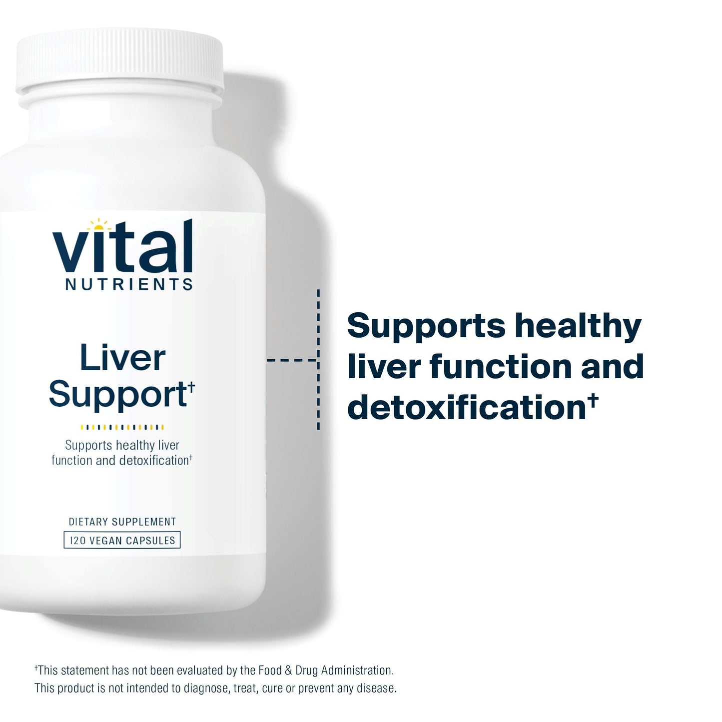 Vital Nutrients Liver Support Milk Thistle & Curcumin | Vegan, Gluten-Free | 120 Capsules