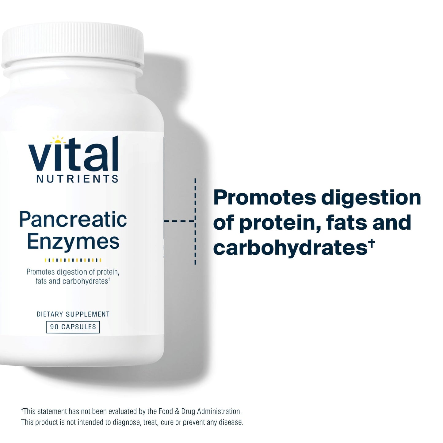 Vital Nutrients Pancreatic Enzymes 1000mg – Full Strength Digestive Enzymes (Protease, Amylase, Lipase) | Gluten, Dairy & Soy Free | 90 Capsules