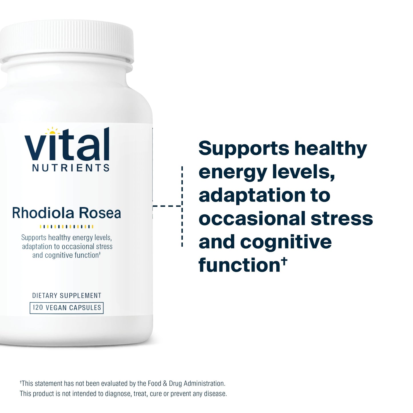 Vital Nutrients Rhodiola Rosea | Energy, Memory & Stress Support | 120 Capsules | Gluten, Dairy & Soy Free | Non-GMO