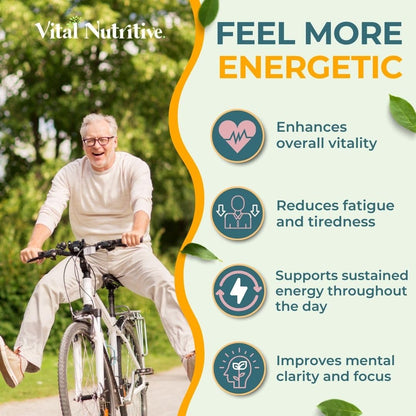 Vital Gut Health 4-in-1 Formula with ACV, Prebiotics & Probiotics | Digestive Enzymes | Vital Nutritive
