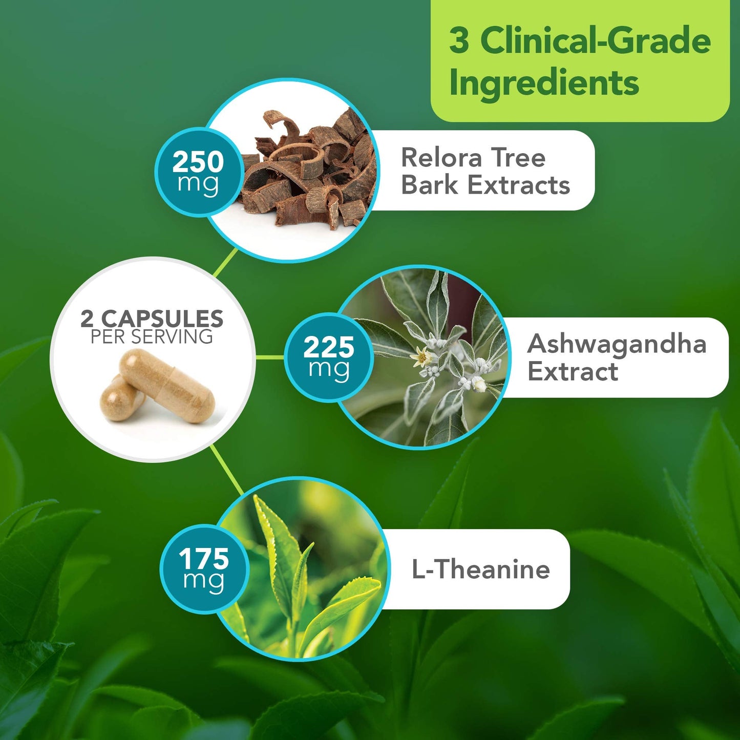 Vital Plan HPA Balance Adrenal Support - Dr. Bill Rawls | Sensoril Ashwagandha