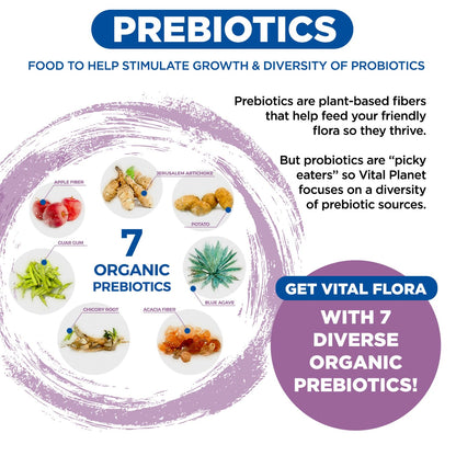Vital Flora Probiotics for Women – 60 Billion CFU, 60 Strains, Organic Prebiotics | Vital Planet