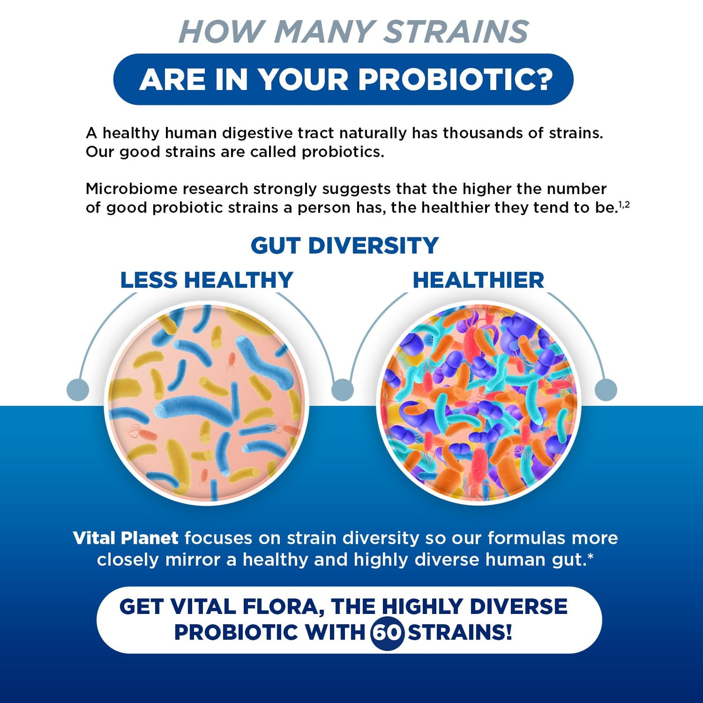 Vital Flora Probiotics for Women – 60 Billion CFU, 60 Strains, Organic Prebiotics | Vital Planet