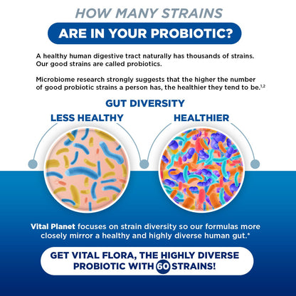 Vital Flora Probiotics for Women – 60 Billion CFU, 60 Strains, Organic Prebiotics | Vital Planet