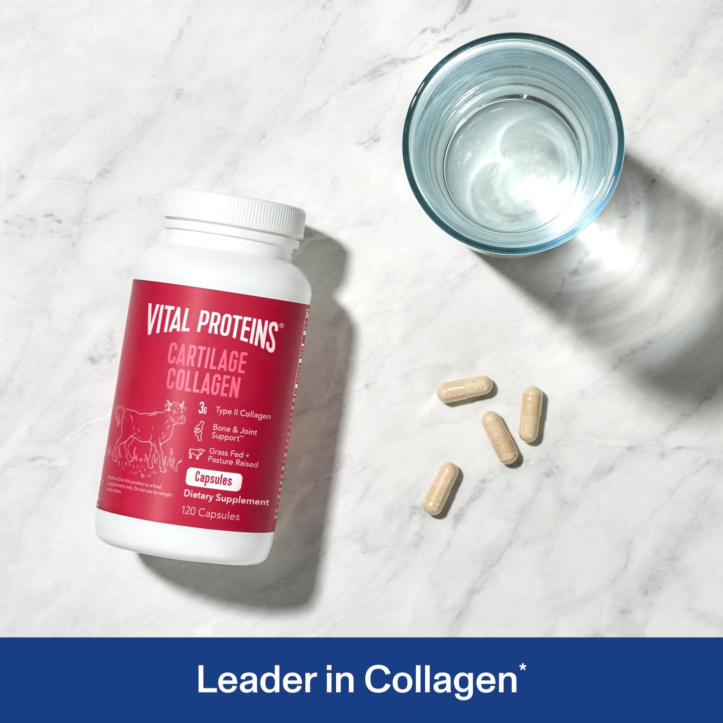 Vital Proteins Cartilage Capsules – Type II Collagen & Chondroitin, 750 mg, 120 Capsules