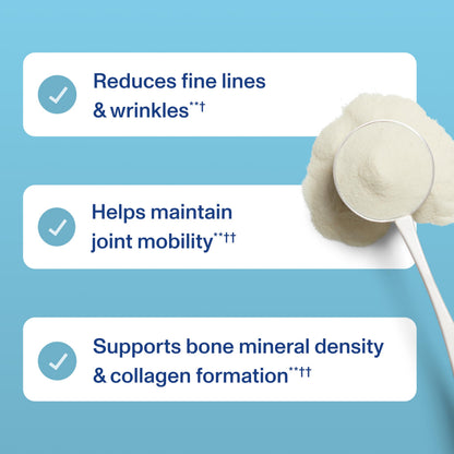 Vital Proteins Professional Daily Foundational Support – 12g Bioactive Collagen Peptides
