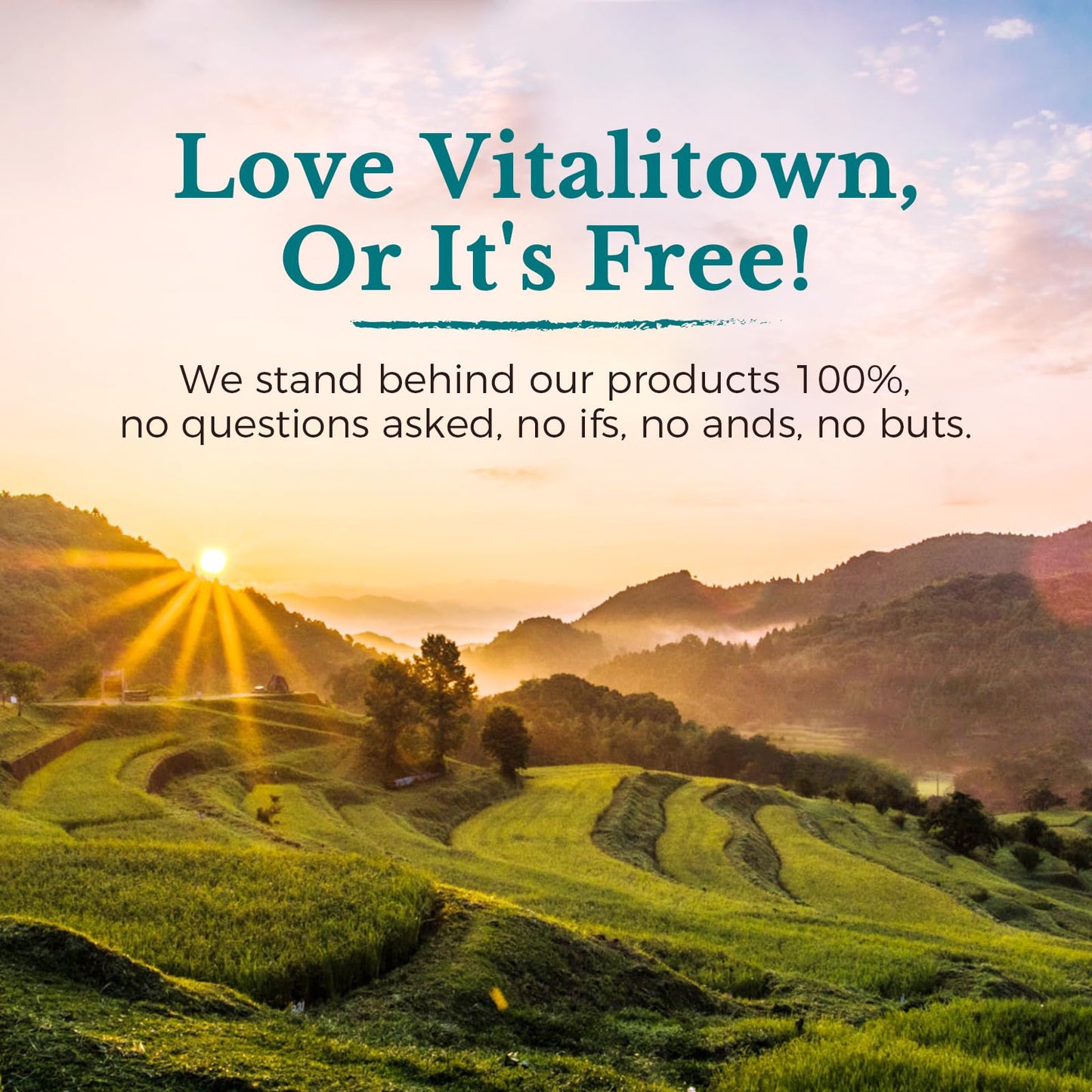 Vitalitown Probiotics 120 Billion CFUs | 36 Strains | Prebiotics & Digestive Enzymes | Shelf Stable | Vegan & Non-GMO | 60 Delayed-Release Veg Caps