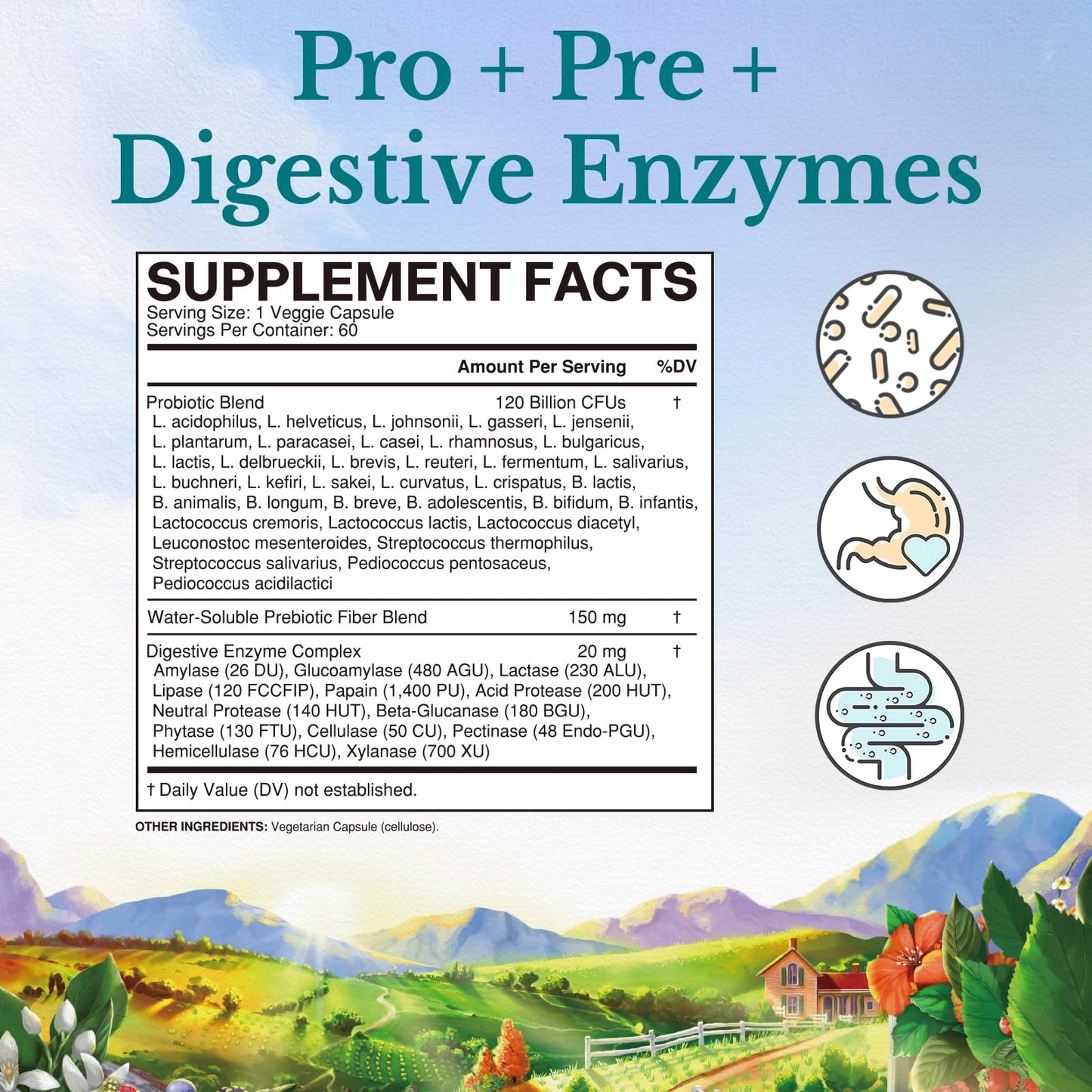 Vitalitown Probiotics 120 Billion CFUs | 36 Strains | Prebiotics & Digestive Enzymes | Shelf Stable | Vegan & Non-GMO | 60 Delayed-Release Veg Caps