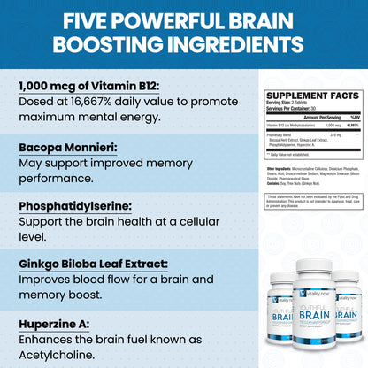 Vitality Now Youthful Brain - Brain Health Support with Bacopa & B12 | 60 Count