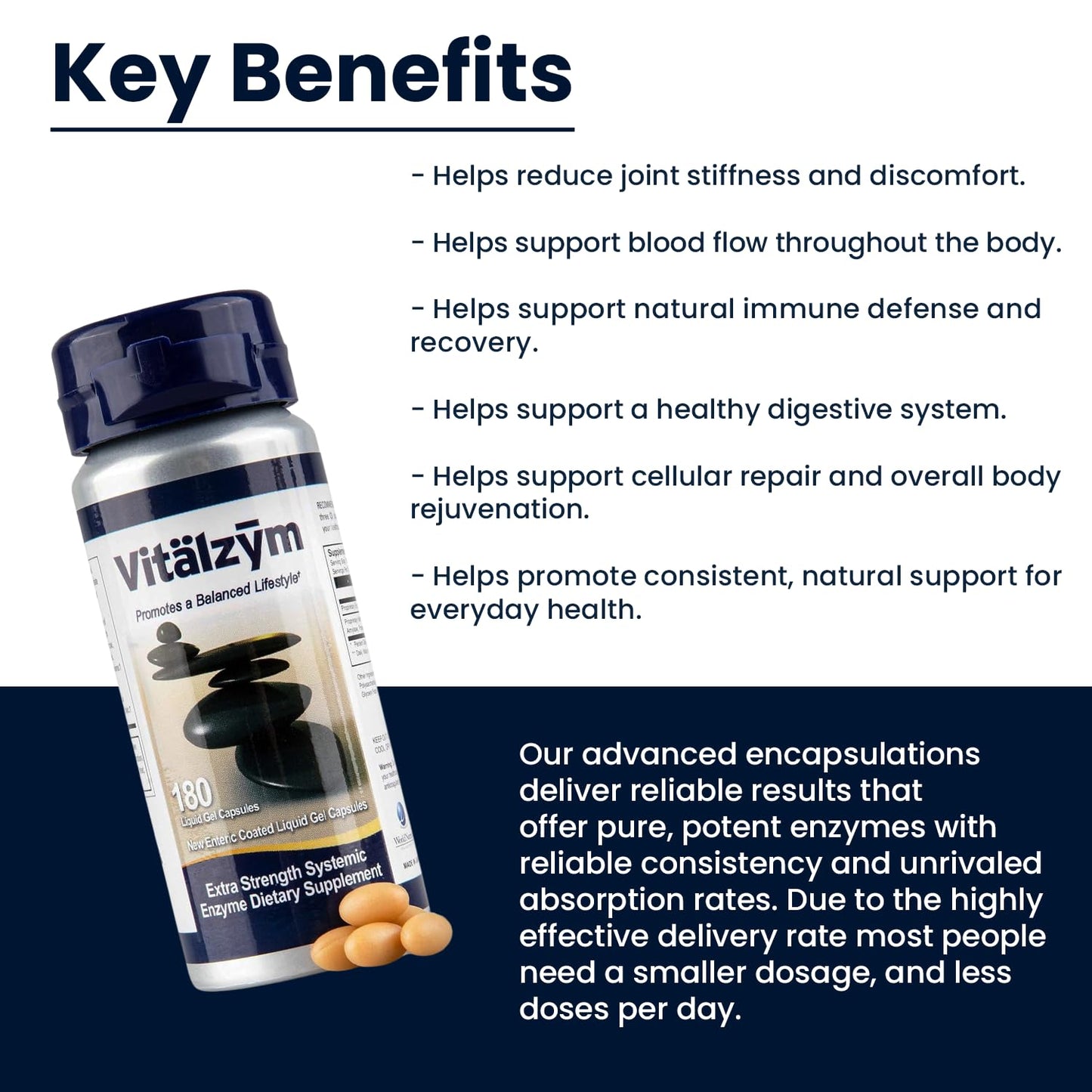 VITÄLZYM Proteolytic Systemic Enzymes Liquid Gel Capsules with Serrapeptase | Immune & Joint Support