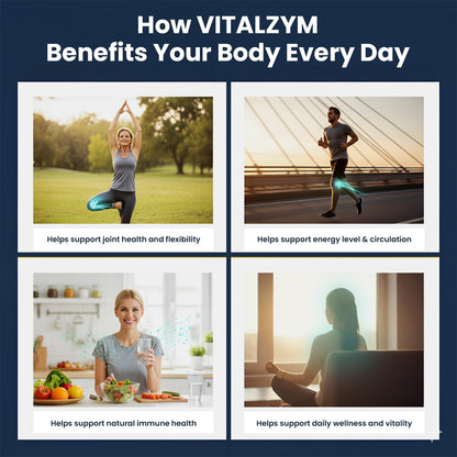 VITÄLZYM Proteolytic Systemic Enzymes Liquid Gel Capsules with Serrapeptase | Immune & Joint Support