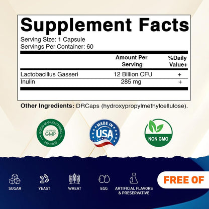 Vitamatic Lactobacillus Gasseri – 12B CFU DR Capsule, 60 Count, Digestive Support