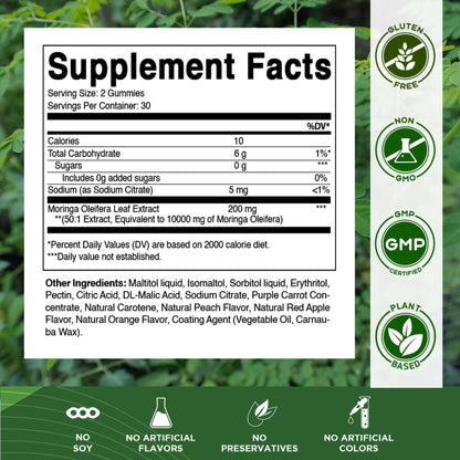 Vitamatic Sugar Free Moringa Gummies – 10,000 mg per Serving (50:1 Extract) | 60 Vegan Gummies | No Sugar Added