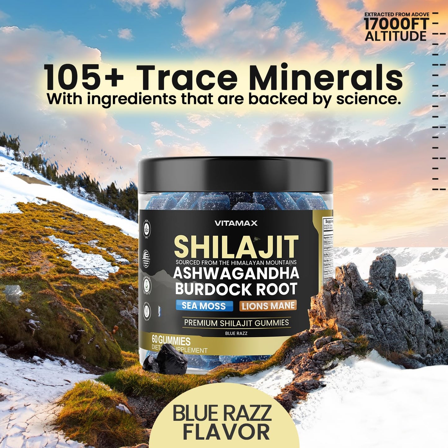 Vitamax Organic Shilajit Gummies with Sea Moss & Ashwagandha – 105+ Minerals, 60 Count