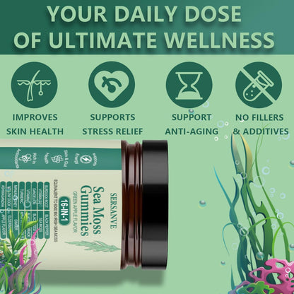 Sea Moss Gummies 16-in-1, with Black Seed Oil, Ashwagandha & Elderberry | Irish Sea Moss Supplement for Men & Women | Daily Wellness Support with Manuka, Burdock Root & Vitamins C & D3, 30 Gummies