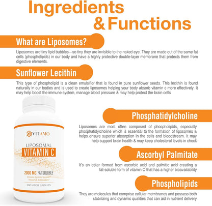 Vitamo Liposomal Vitamin C 2000mg | High-Absorption Immune Support & Skin Health | 300 Capsules