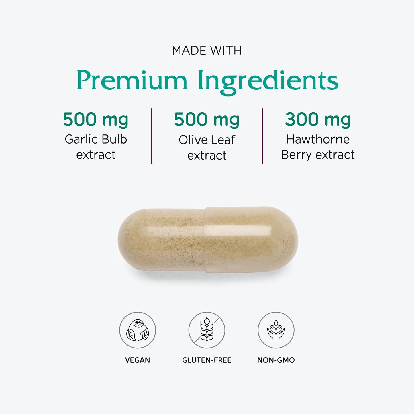 Vitanica VasoBlend: Heart Health with CoQ10, Magnesium and Arjuna