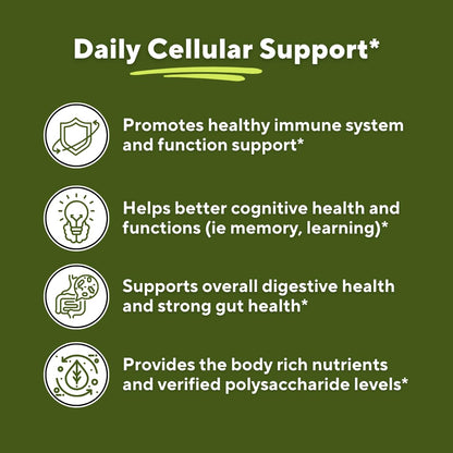 Vitapia Fucoidan 85% - 1000mg Per Serving | 120 Veggie Capsules | Immune & Digestive Support