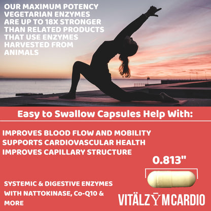 VITÄLZYM Cardio Proteolytic Systemic Enzymes – Serrapeptase, Nattokinase & CoQ10 (300 Capsules)