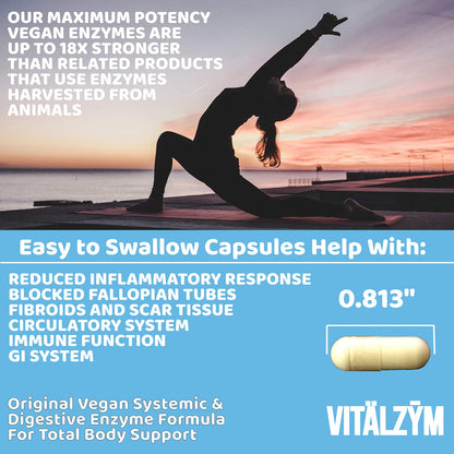 VITÄLZYM Original Proteolytic Systemic Enzyme Formula – Serrapeptase Source | Immune & Joint Support | 450 Capsules