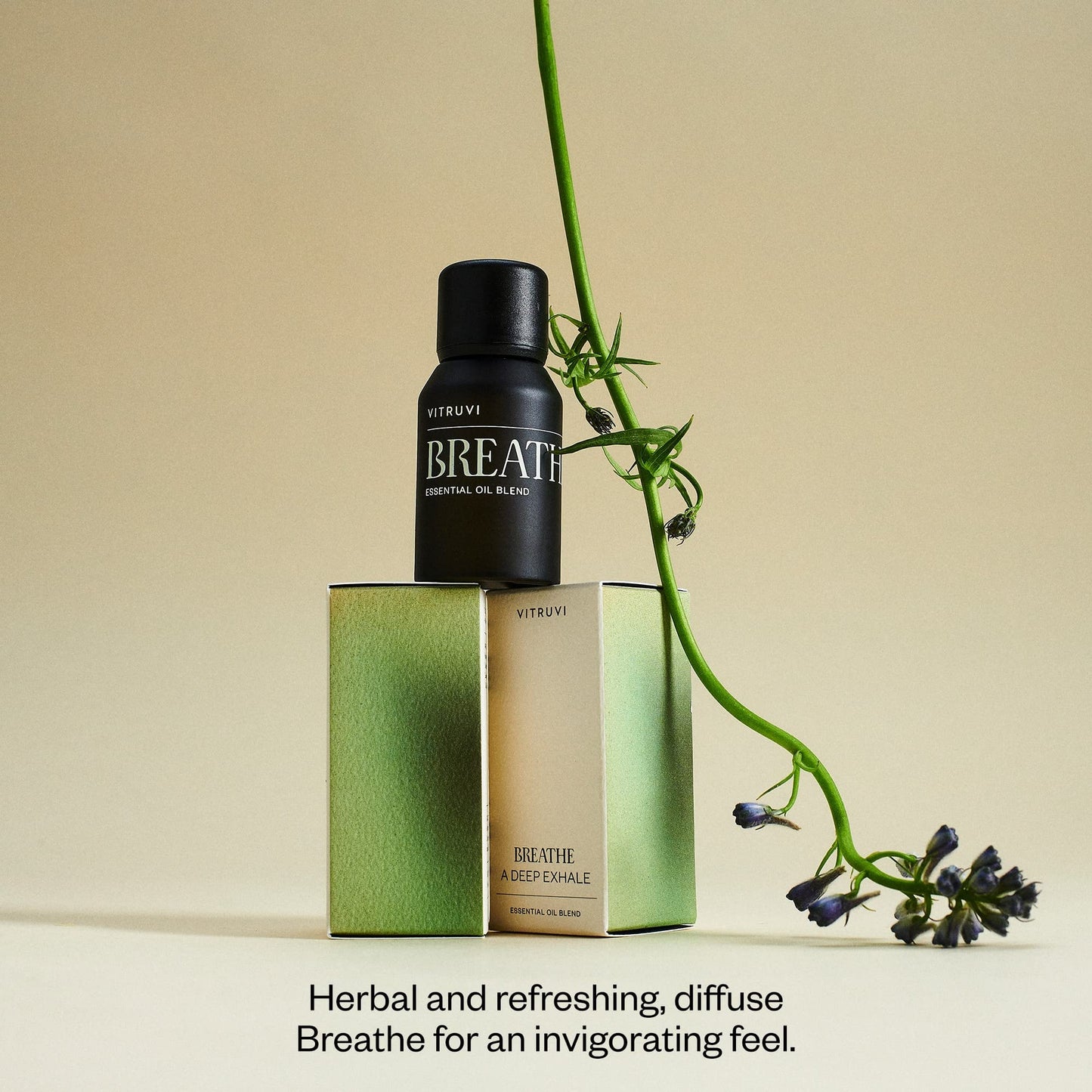 Vitruvi Breathe Minty Cooling Essential Oil Blend - Peppermint, Cajeput & Eucalyptus (0.5 oz)