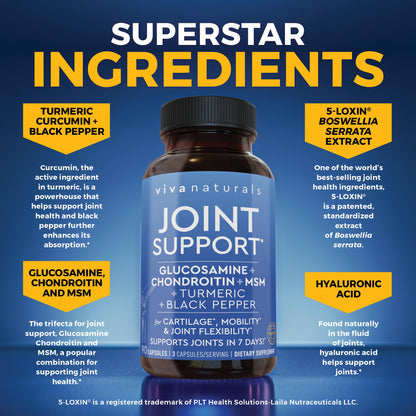 Viva Naturals Glucosamine Chondroitin MSM - 90 Capsules | Joint Health Support
