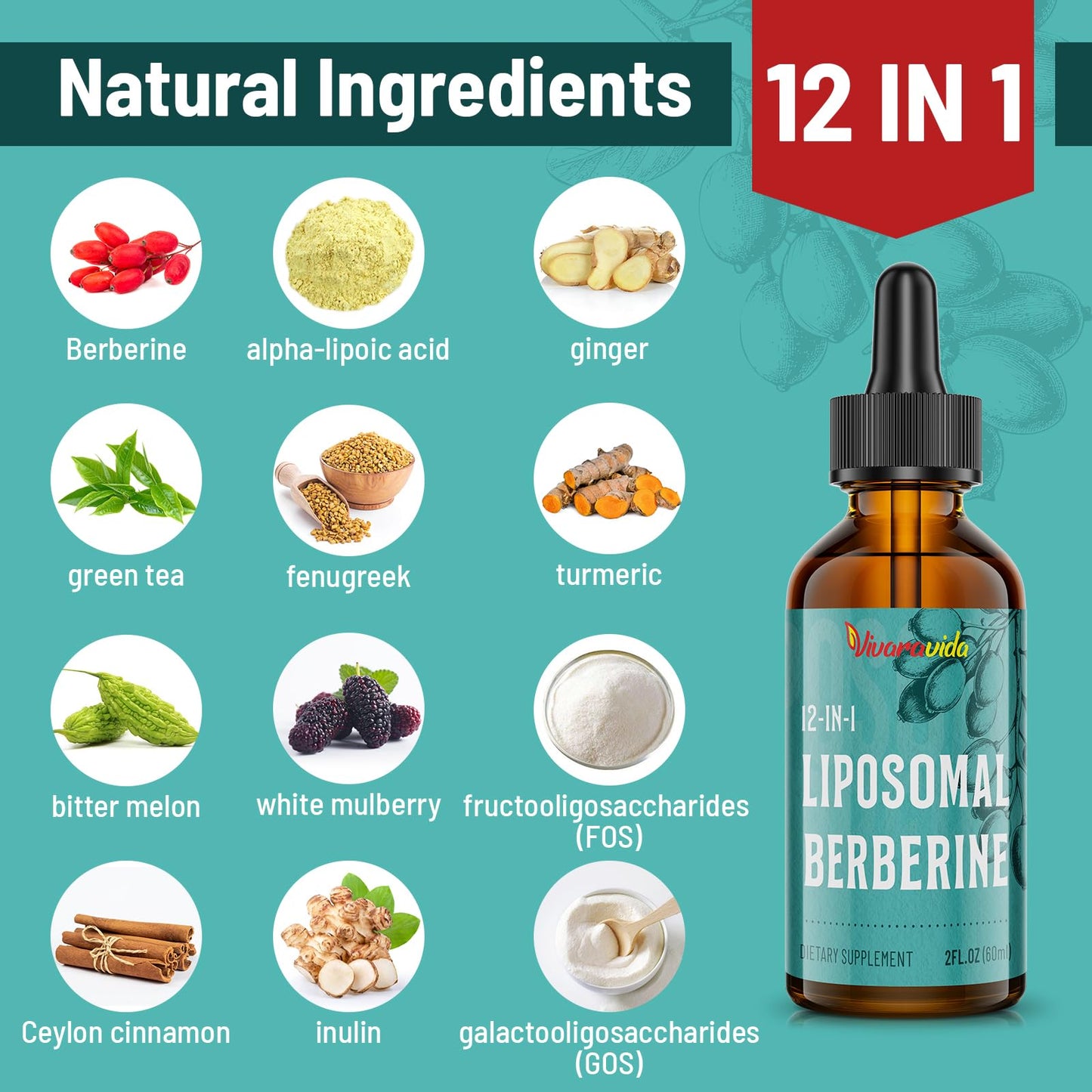 Vivaravida Berberine HCl Drops 3000 mg | Liposomal Berberine HCl Liquid