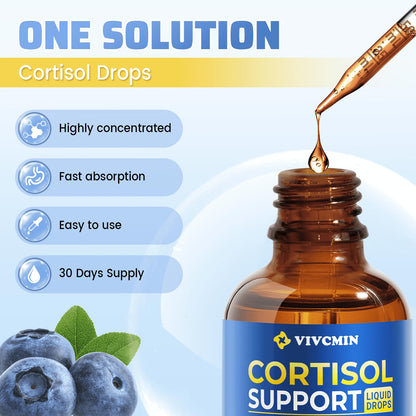 Vivcmin 10-in-1 Cortisol Supplement – Sleep & Mood Support (Blueberry, 2 oz)