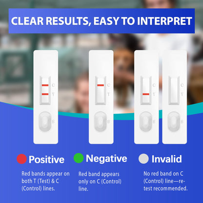 Vivometra Dog & Cat Pregnancy Test Kit – 2 Tests at Home (Relaxin)