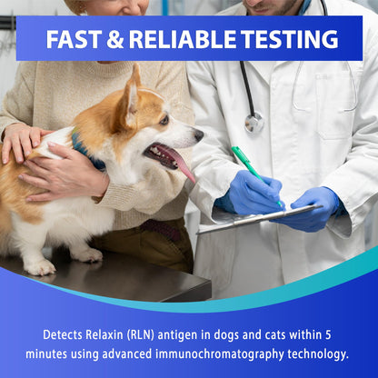 Vivometra Dog & Cat Pregnancy Test Kit – 2 Tests at Home (Relaxin)